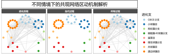 球盟会(中国)在生物多样性成因研究领域取得重要进展